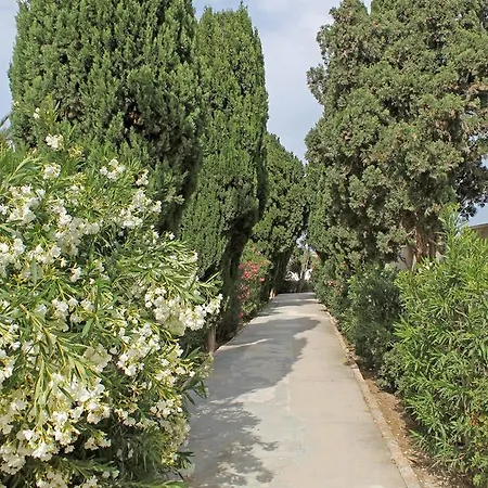 Molino Blanco *